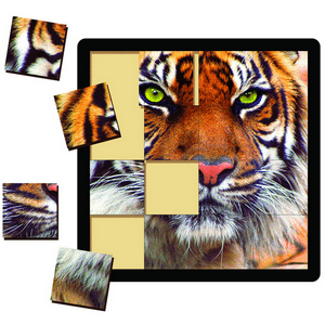 Tiger Challenge - 16 piece