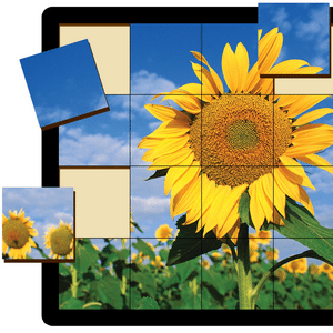 Sunflower - Grid Puzzle - 16 piece