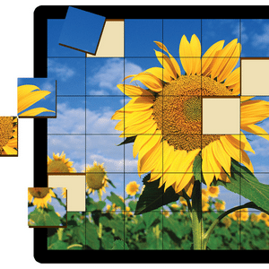 Sunflower - Grid Puzzle - 36 Piece