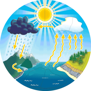 water cycle puzzle